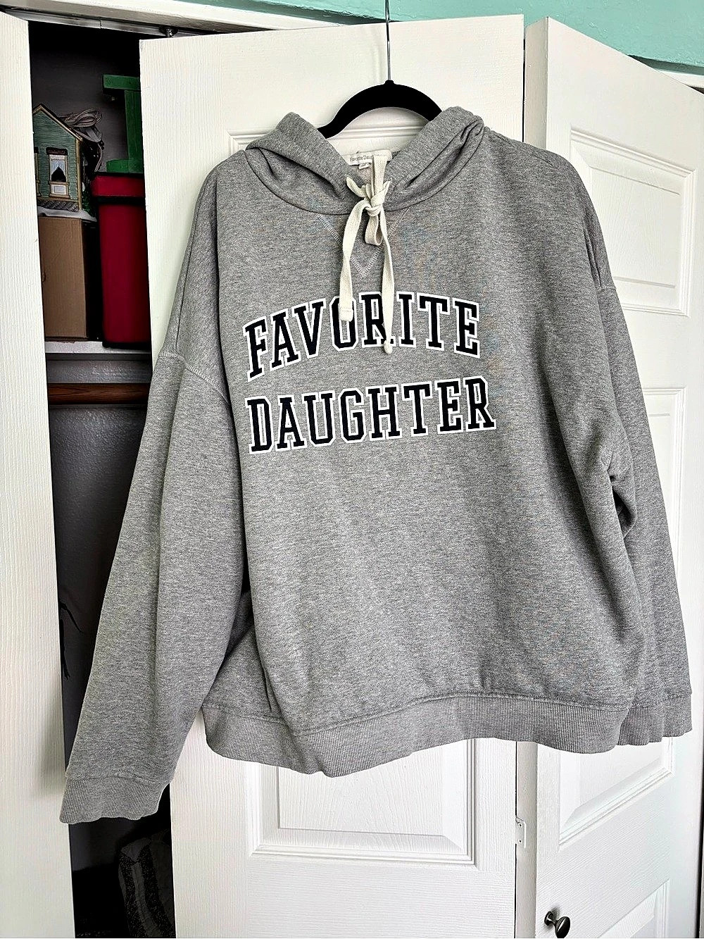 Favorite Daughter The Collegiate Hoodie Gray XL